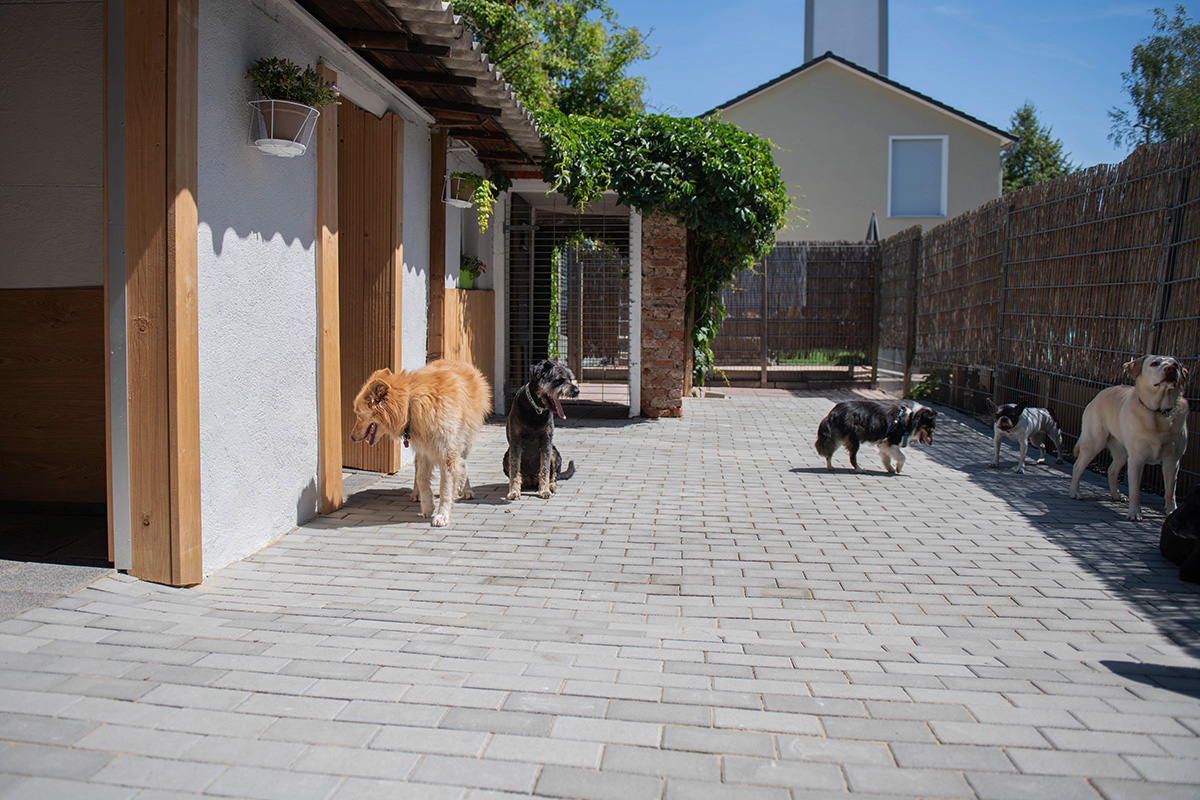 Foto da galeria de Hundewelt Fürth